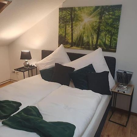 Waterfalls Apartment Triberg im Schwarzwald Екстериор снимка