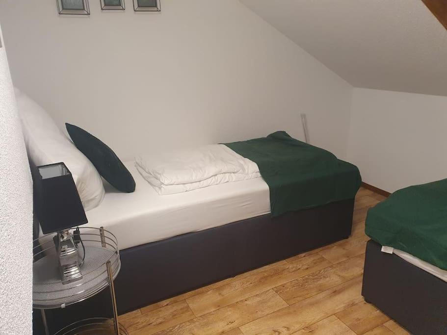 Waterfalls Apartment Triberg im Schwarzwald Екстериор снимка