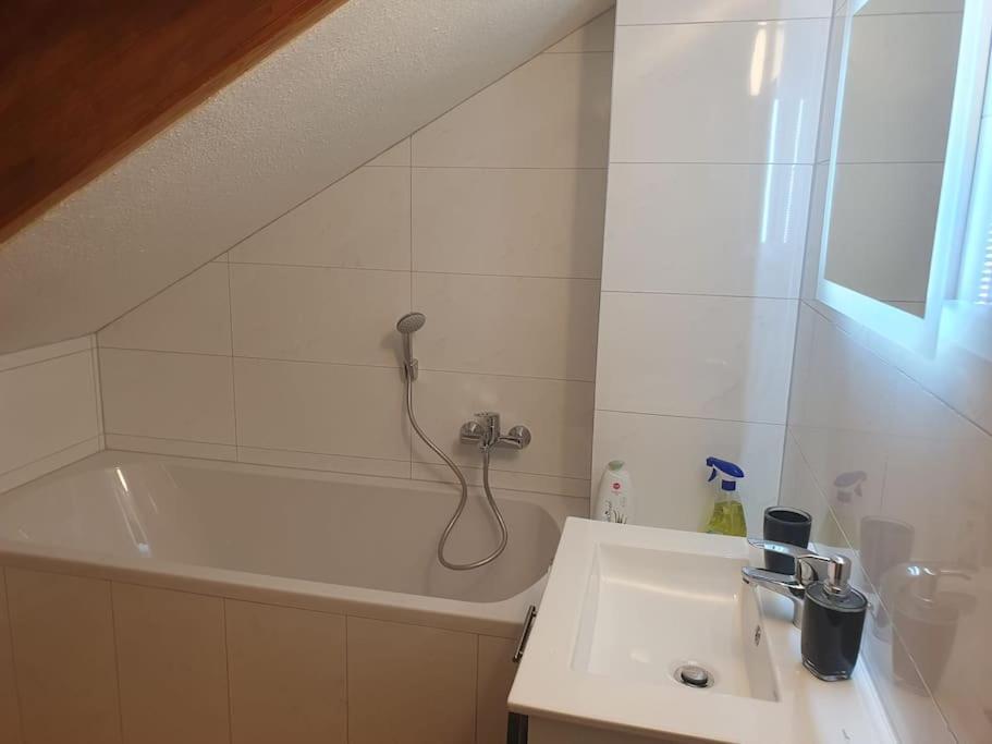 Waterfalls Apartment Triberg im Schwarzwald Екстериор снимка
