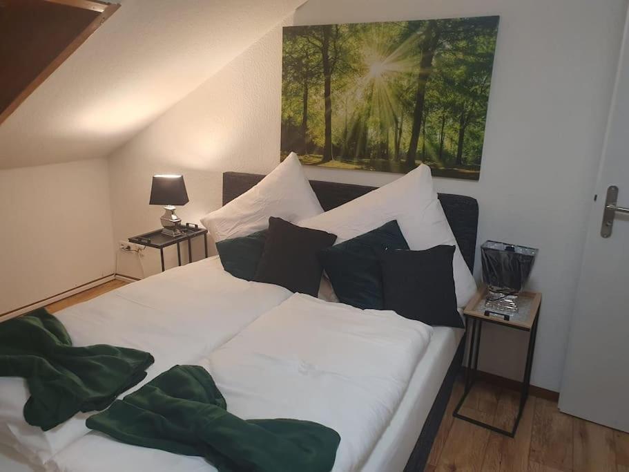 Waterfalls Apartment Triberg im Schwarzwald Екстериор снимка